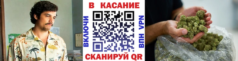 Наркотические вещества Рыбное Гашиш  COCAIN  МЕФ  A-PVP  МДМА  Канабис 