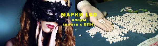 apvp Аркадак
