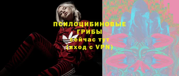 экстази Арсеньев