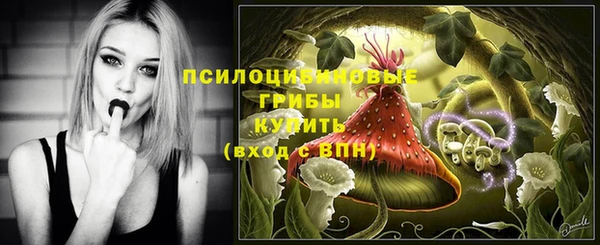 прущая мука Алзамай